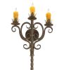 16" Wide Palmira 3 Light Wall Sconce