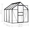 Greenhouse Anthracite Aluminum 38.9 ftÂ²
